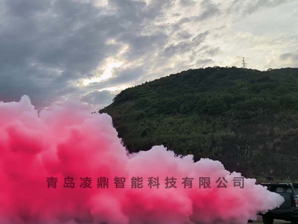 远程遥控造雾设备-10型